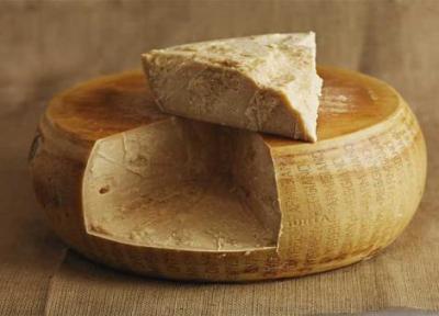 پنیر پارمزان؛ یادگار اشرافی ایتالیایی پنیر پارمزان؛ یادگار اشرافی ایتالیایی